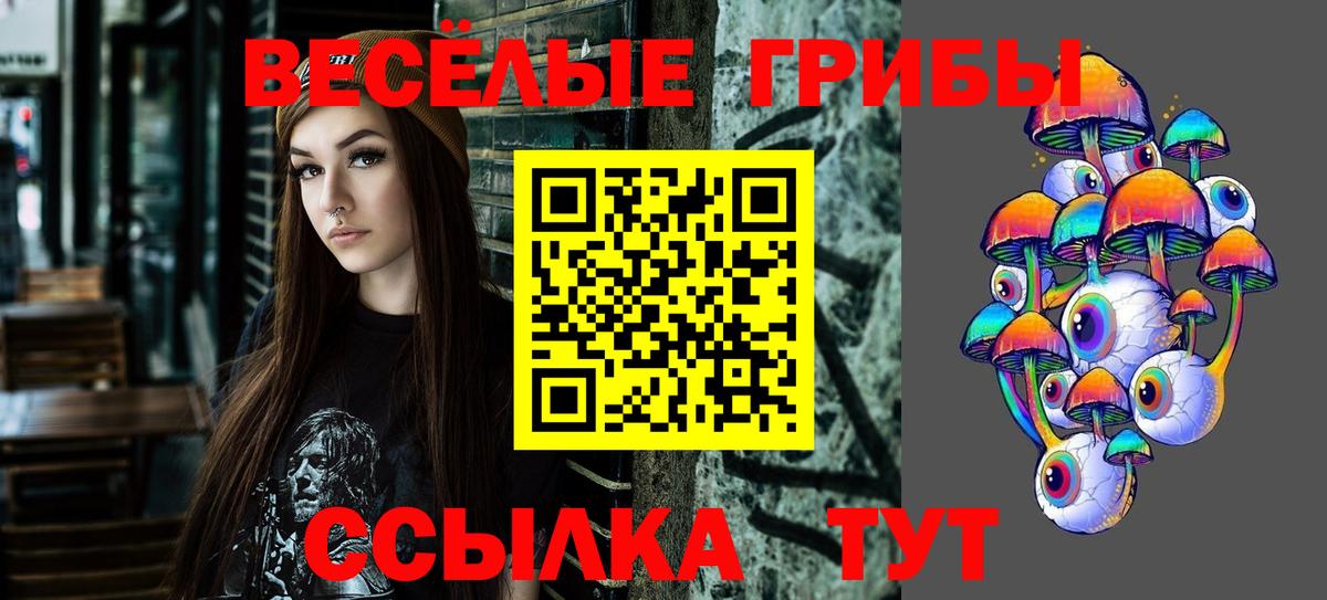 Псилоцибиновые грибы мухоморы  Вход с VPN  сколько стоит  Ноябрьск 