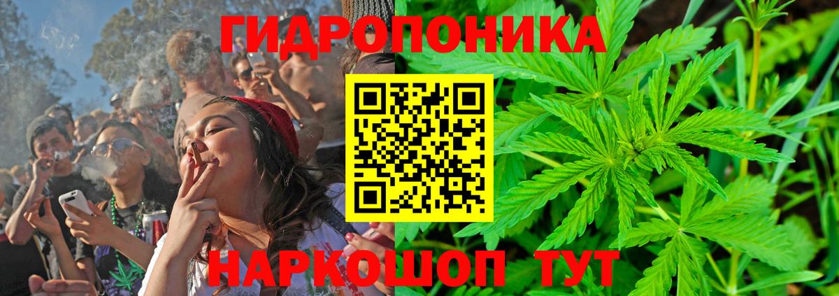Марихуана Amnesia  Вход с VPN  Ноябрьск  Каннабис планчик  Каннабис Bruce Banner 
